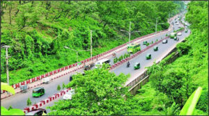 টাইগারপাস