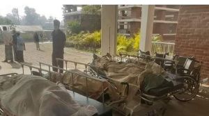 রাস্তা পার হওয়ার সময় পিকআপ ভ্যানের চাপায় একসঙ্গে ৪ ভাইয়ের মৃত্যু