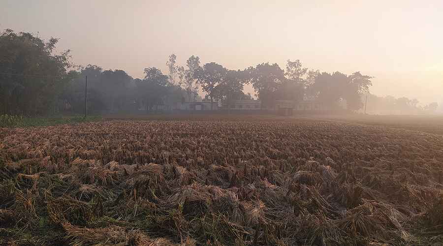 পঞ্চগড়ে জেঁকে বসেছে শীত