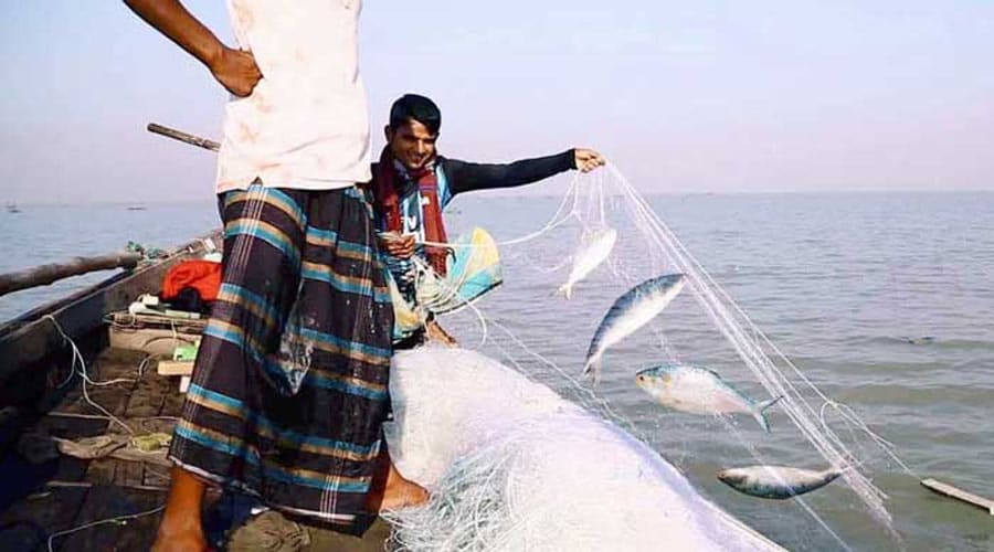 ২২ দিন ইলিশ ধরা মানা, কেনাবেচাতেও নিষেধাজ্ঞা
